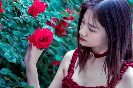 甘肃宕昌：草木研药、清波调方 满眼皆是生态“处方笺”